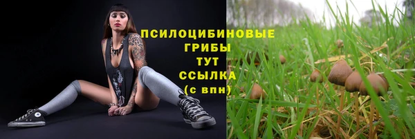 твердый Лихославль