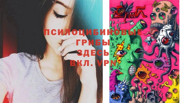 твердый Лихославль