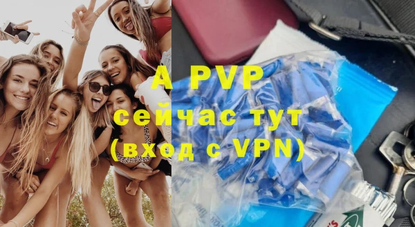 стаф Туринск