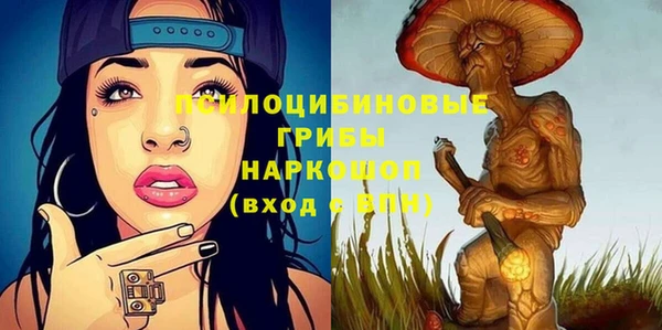 ECSTASY Липки