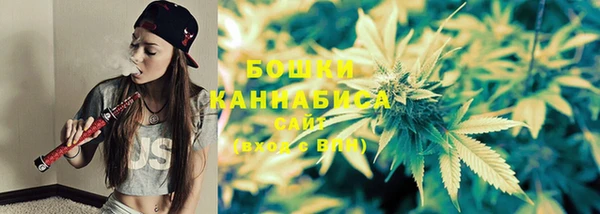 ECSTASY Липки