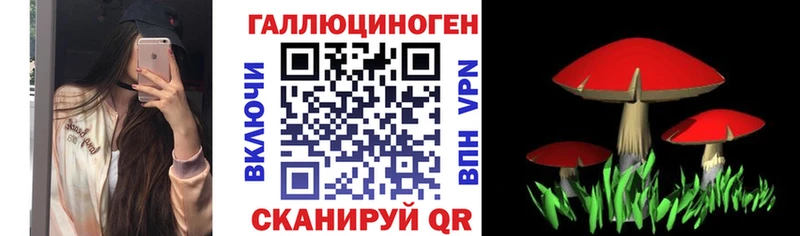Галлюциногенные грибы GOLDEN TEACHER  Купить закладки  Бирюч 